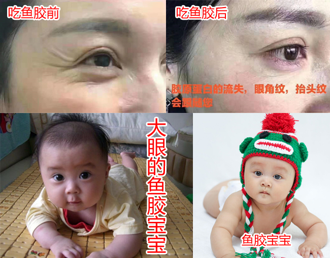【楠楠家天然深海野生花胶潮汕渔民源头直供】开云体育 开云平台(图1)